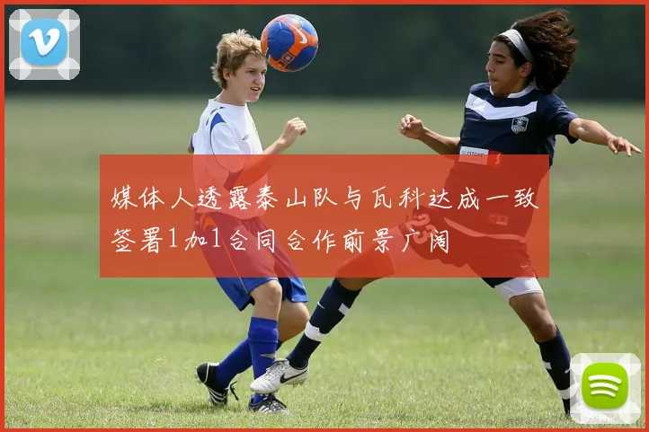 媒体人透露泰山队与瓦科达成一致签署1加1合同合作前景广阔